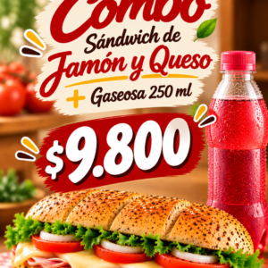 Sandwich Jamon y Queso + Gaseosa 250 ml
